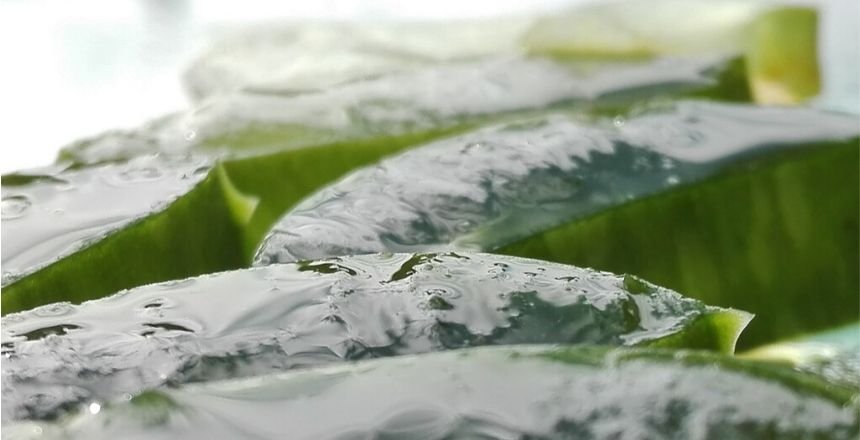 materasso aloe vera