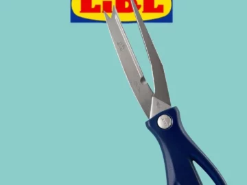 ferro da stiro da viaggio lidl
