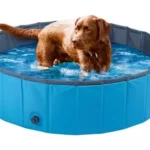 piscina per cani lidl 7 piscina per cani lidl