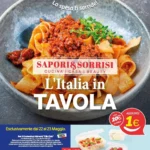 Anteprima nuovo Volantino Ins Discount valido dal 20/05 al 31/05 2026 2 Anteprima nuovo Volantino Ins Discount valido dal 20/05 al 31/05 2026 1
